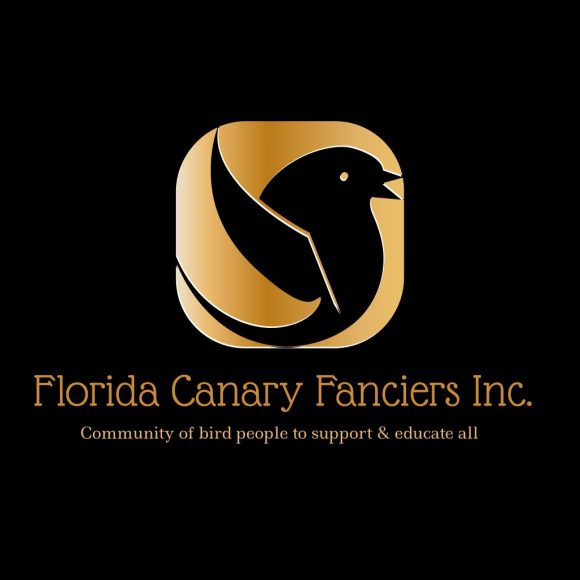 Florida-Fancier–580x580.jpg