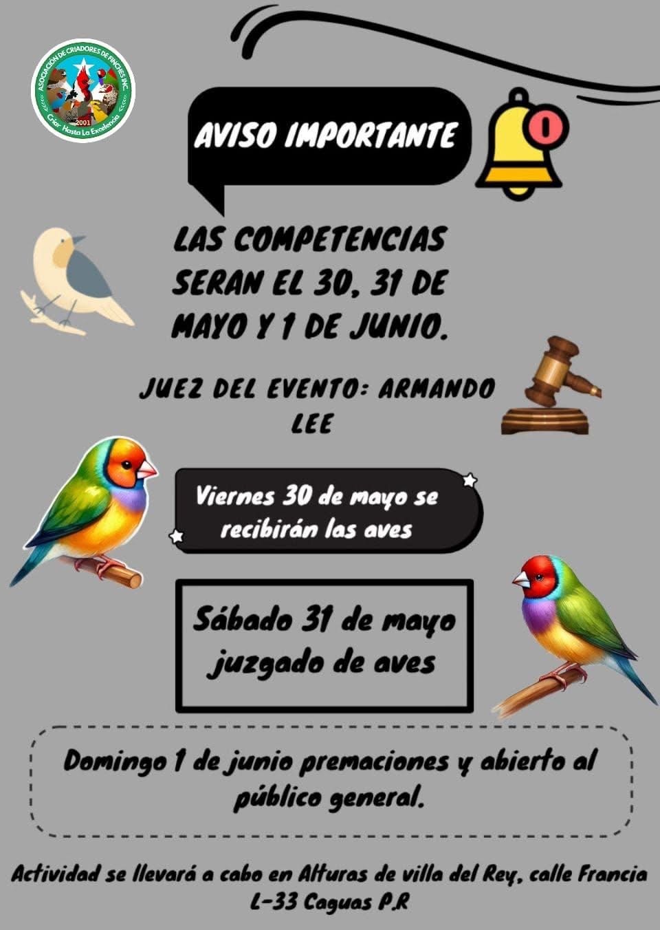 2025 Show Caguas