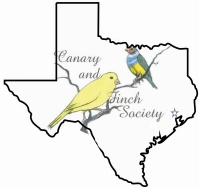 CanaryFinchSociety