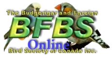 BFBS_banner