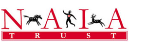 NAIA AFA